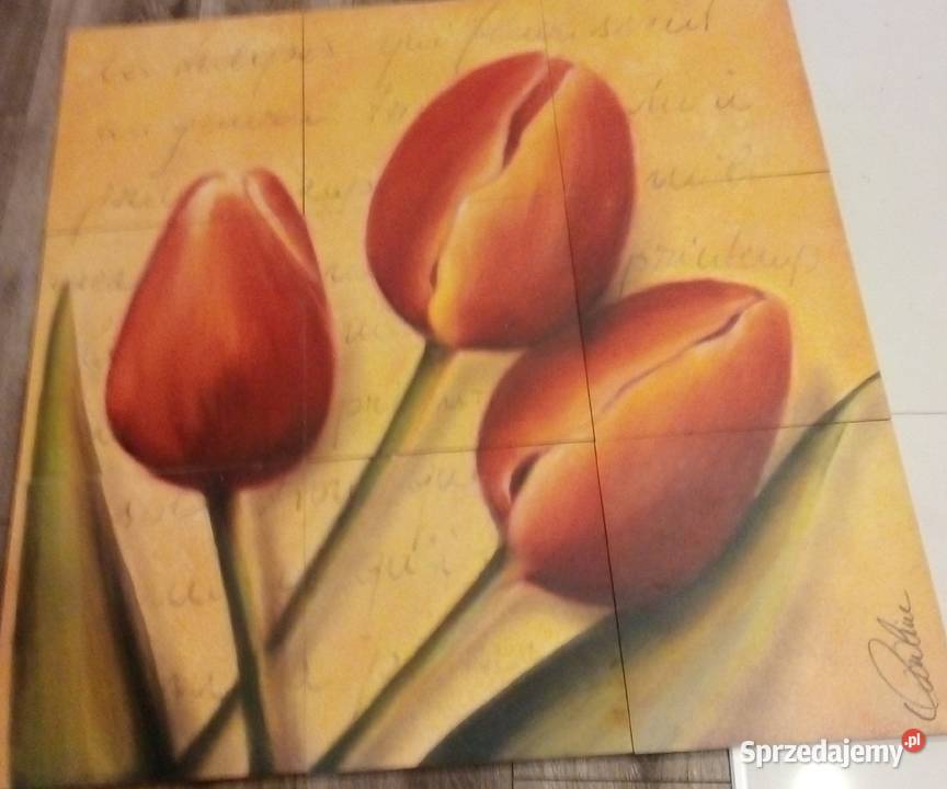 Obraz tryptyk odcienie pomarańczowego  Dekoracje i ozdoby Olsztyn