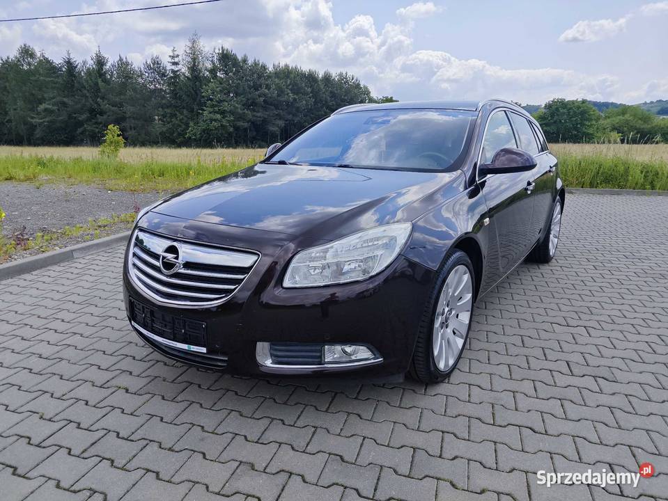 Opel Insignia 20 160 mały przebieg Dębica sprzedam