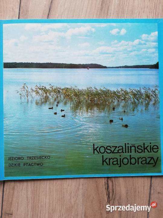 Przewodniki wędkarskoturystyczne Wronki sprzedam