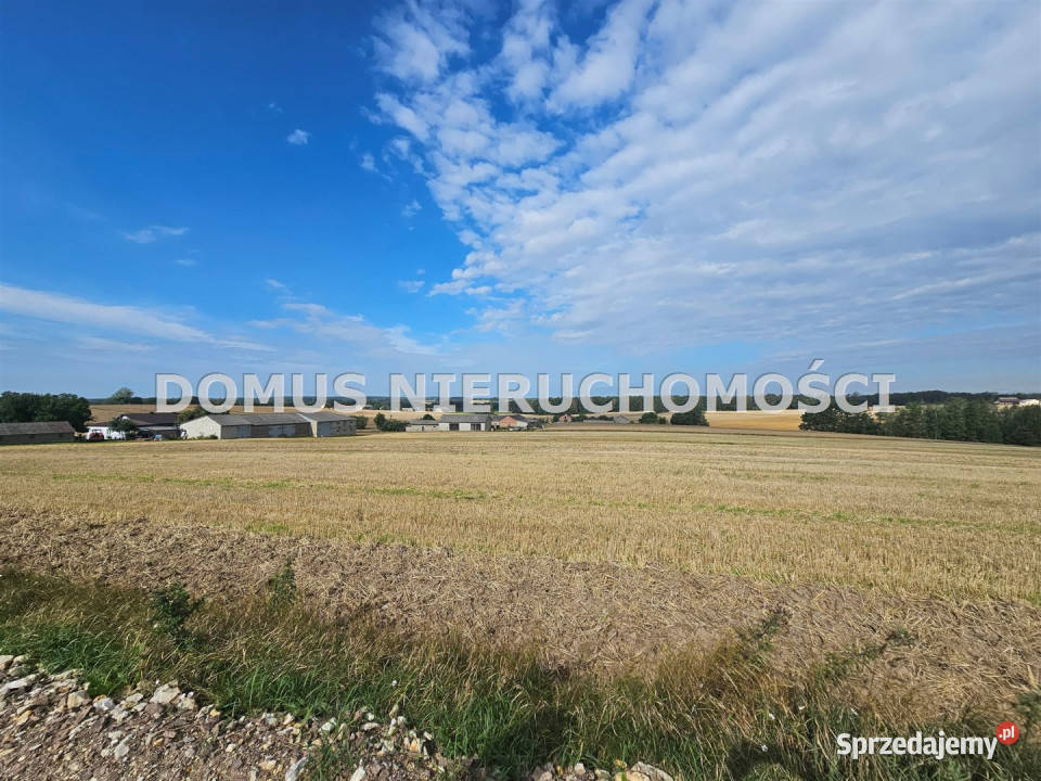 sprzedaży gruntu 3000m2 Jasień