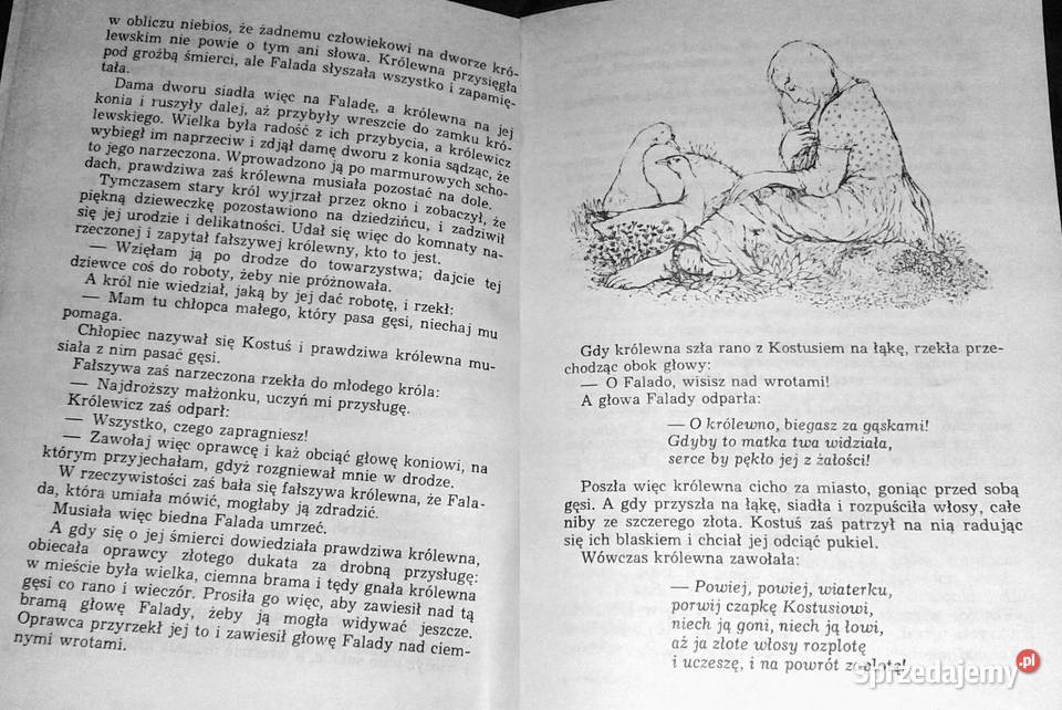 Baśnie Grimm Wilhelm i Jakub Grimm lubelskie Chełm