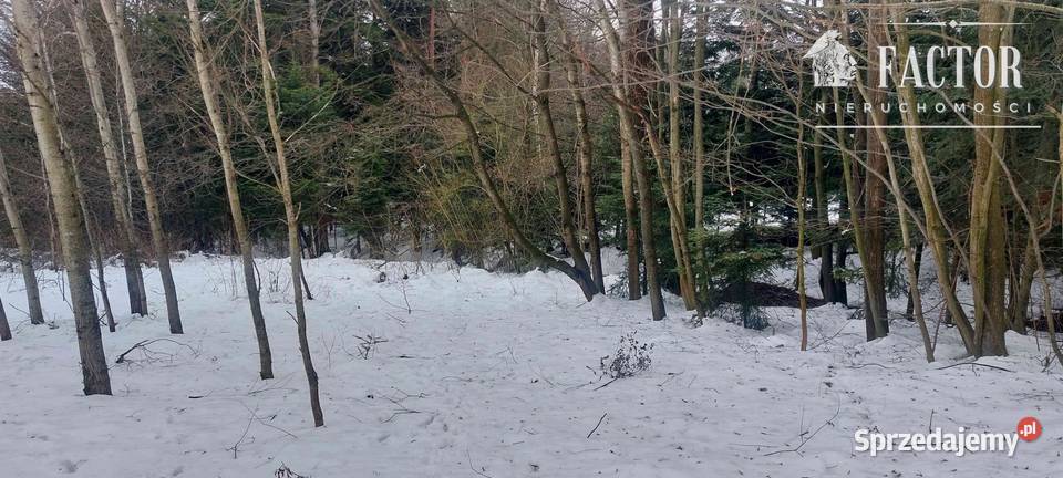 Biała Niżna działka budowlanorolnoleśna Nieruchomości