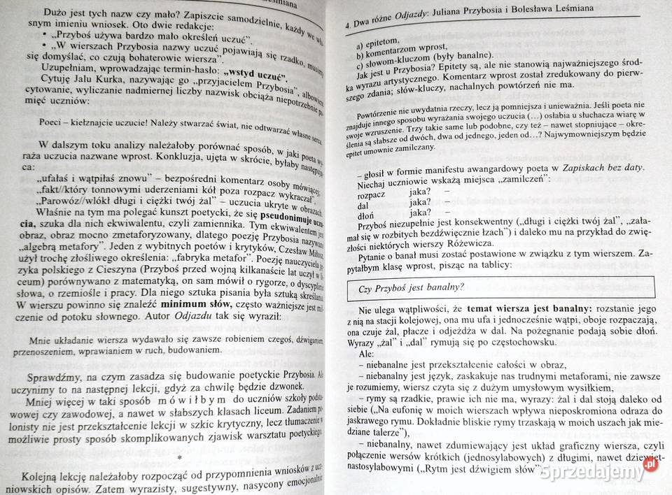 Scenariusze półwariackie Stanisław Bortnowski Chełm