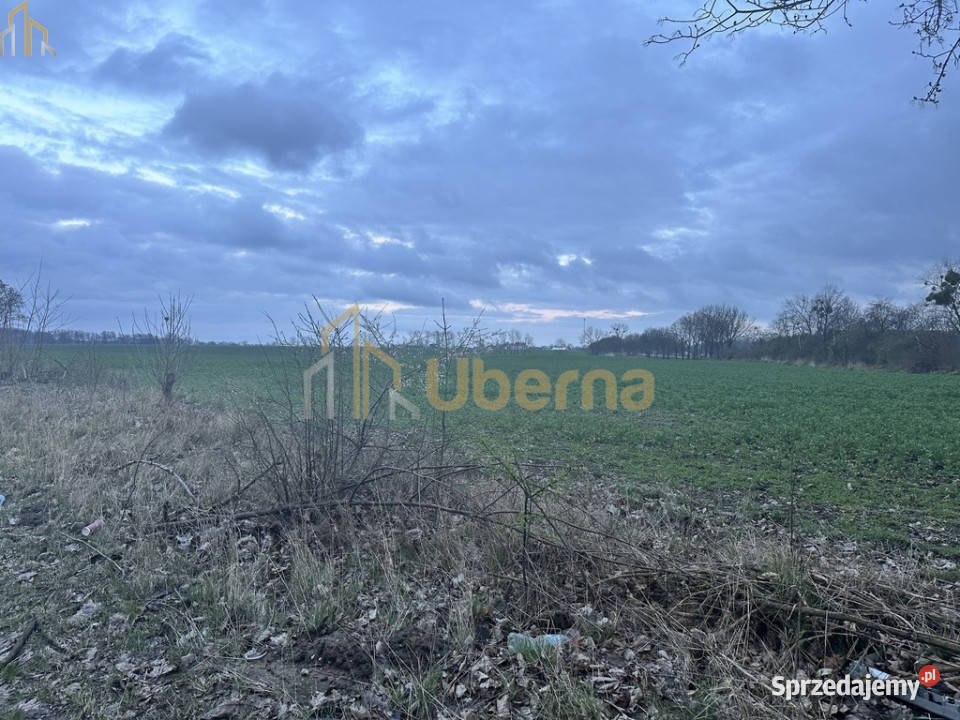 Teren inwestycyjny z potencjałem produkcjaskłady Ryszewko sprzedam