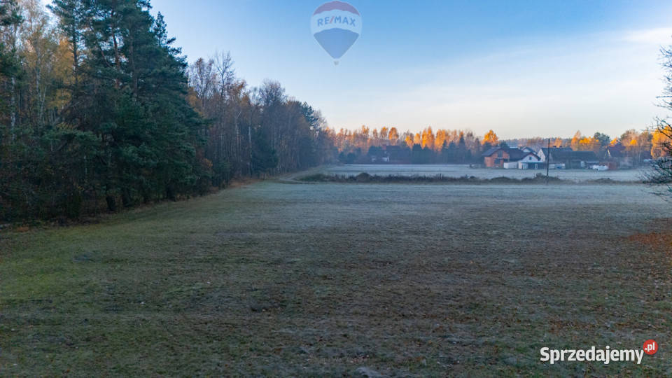 4 hektary wolności pod Warszawą Ostrowik sprzedam