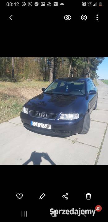 Audi a3 19 TDI 130 hak pomorskie Starogard Gdański