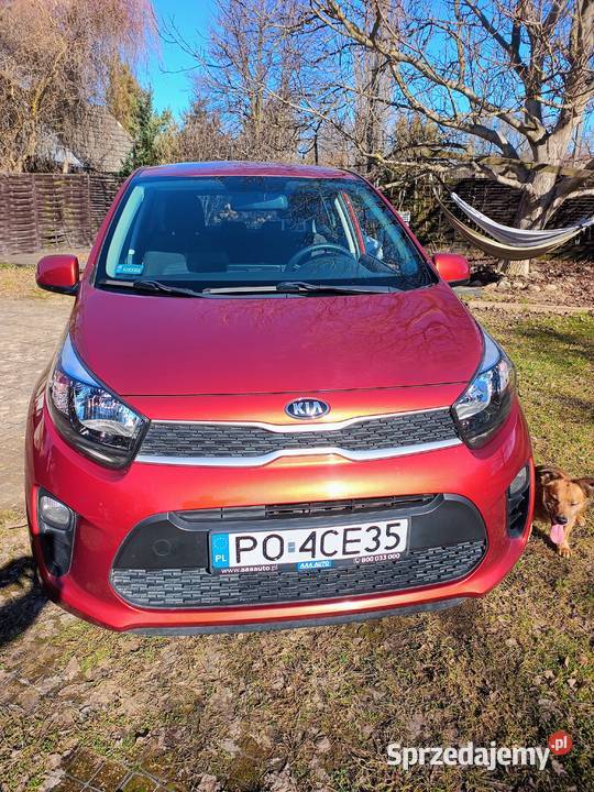 KIA PICANTO 2017 r POLSKI SALON BEZWYPADKOWY Kamieniec Ząbkowicki