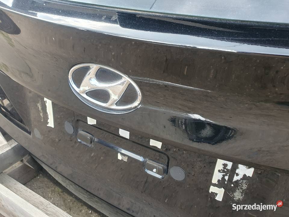 KOMPLETNA KLAPA PAE KAMERA HYUNDAI IX 35 0915