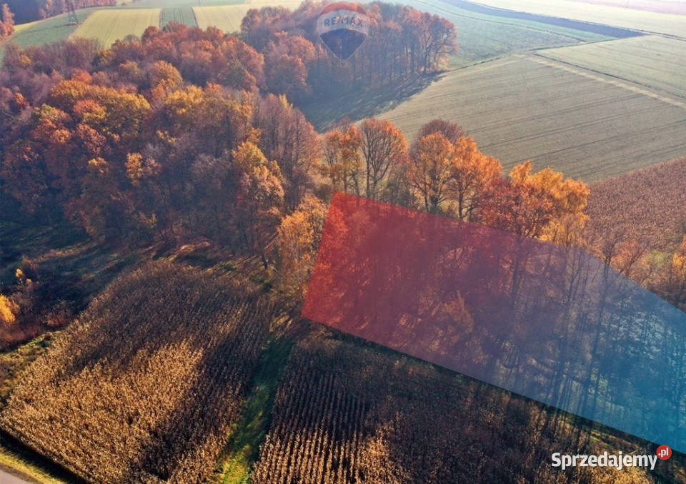 Bajkowa Działka w pięknym otoczeniu Osiek