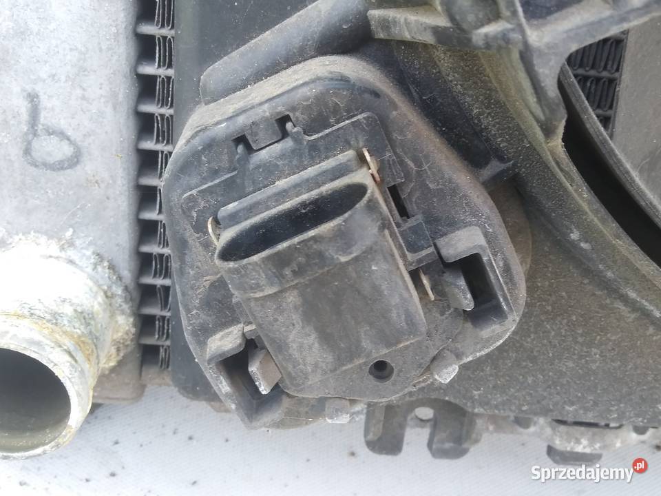 Renault Modus chłodnica 12 wentylator osobowe zachodniopomorskie Dębno