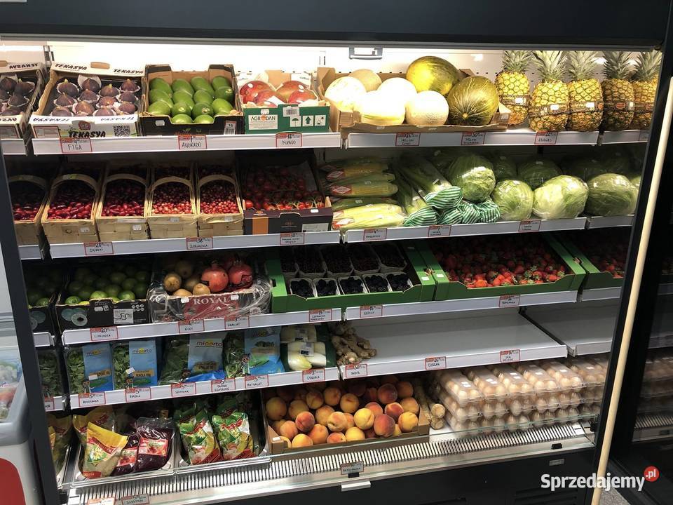 Regał chłodniczy GRANDIS 158 x 68 szafa Jabłonna