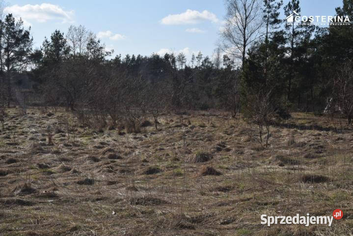 Sprzedaż gruntu Parchowo 1218m2 budowlana