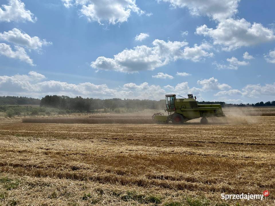 Claas MRCATOR 75 kombajn zbożowy Lwówek Śląski