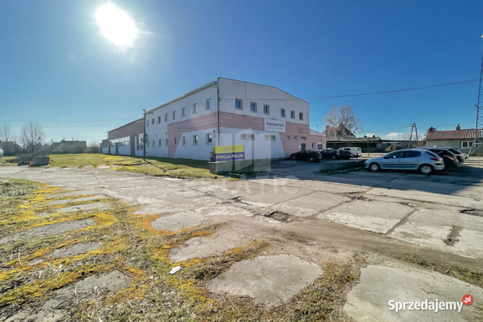 wynajmu lokalu 3000m2 Cedry Wielkie M 3000m2