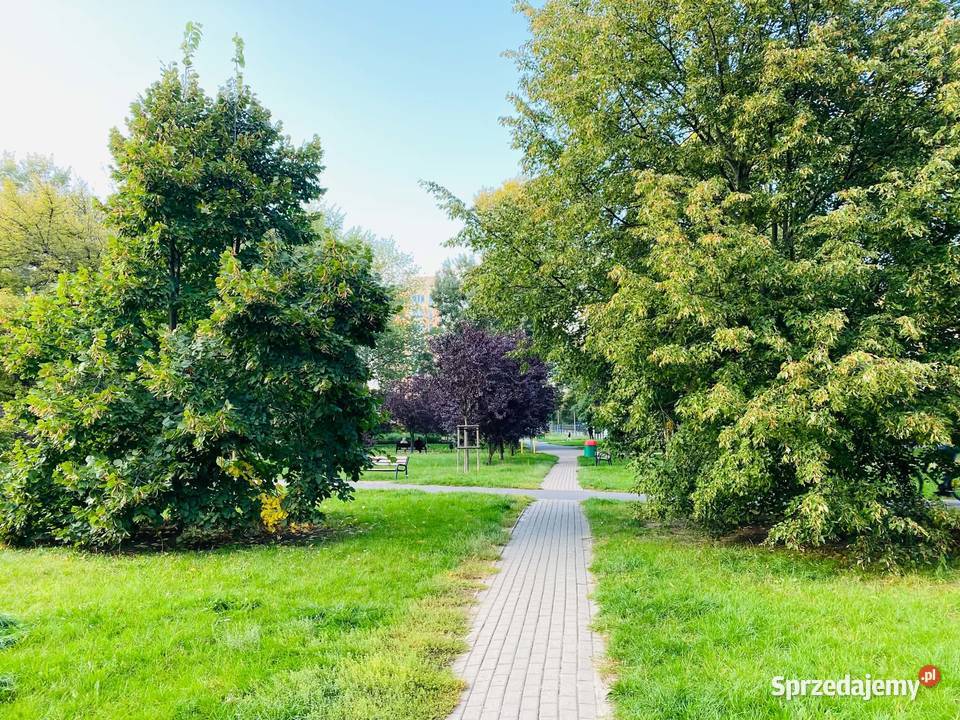 Wynajmę kawalerkę 37 m Bielany Bogusławskiego 4 mazowieckie