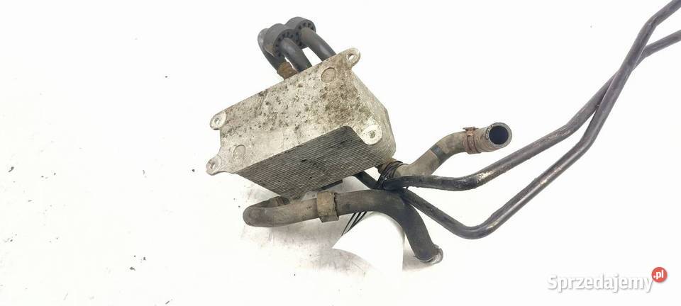 CHŁODNICZKA OLEJU VOLKSWAGEN PHAETON LONG Lipno