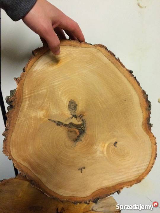 Plastry drzewa fleki drewno krojone płaskie Pozostałe