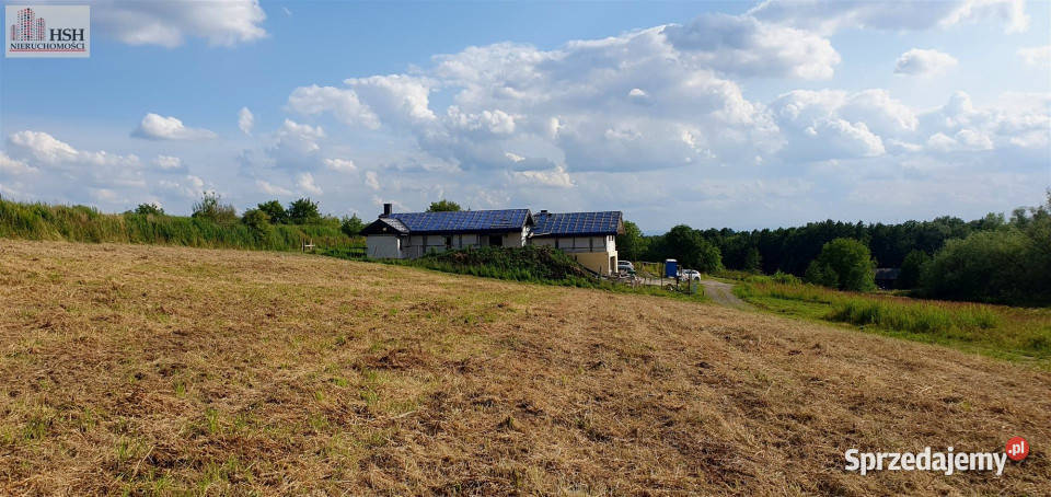 Działka 1467 metrów Michałowice sprzedam