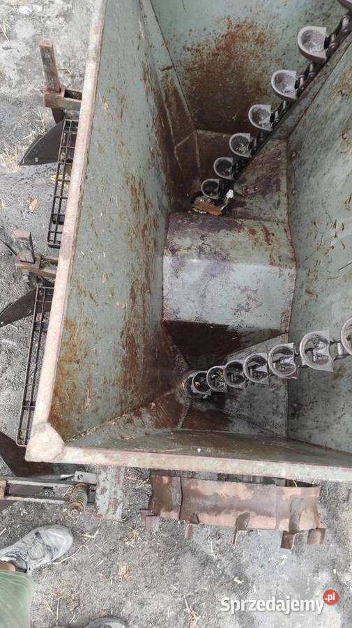 Sadzarka do ziemniaków Groszki