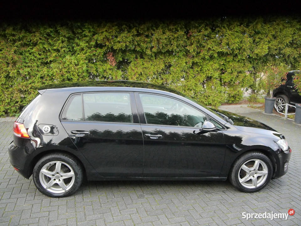 Volkswagen Golf 16tdi 170 Stan b 100bezwypadkowy 110KM Motoryzacja Częstochowa