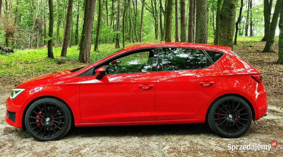 Seat Leon 20 TSI Cupra DSG pomorskie Pinczyn