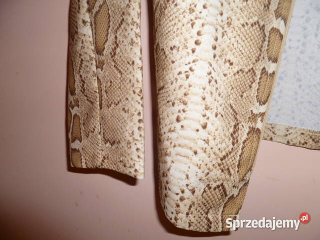 Bluzka w panterkę Kraków