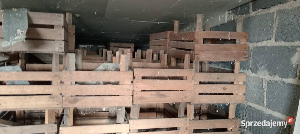 Sprzedam paczki drewniane Szarbia