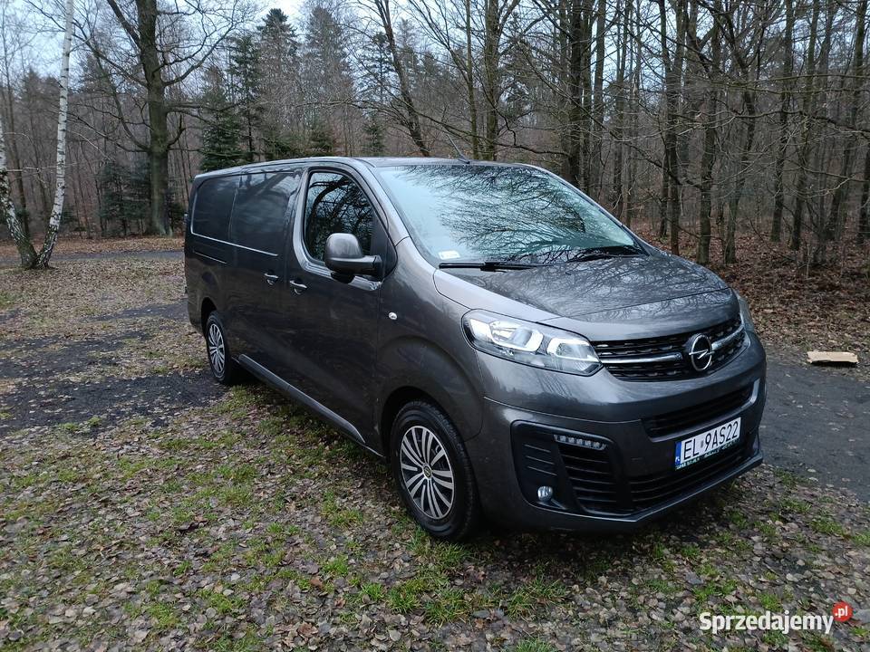Opel Vivaro Brzeziny sprzedam