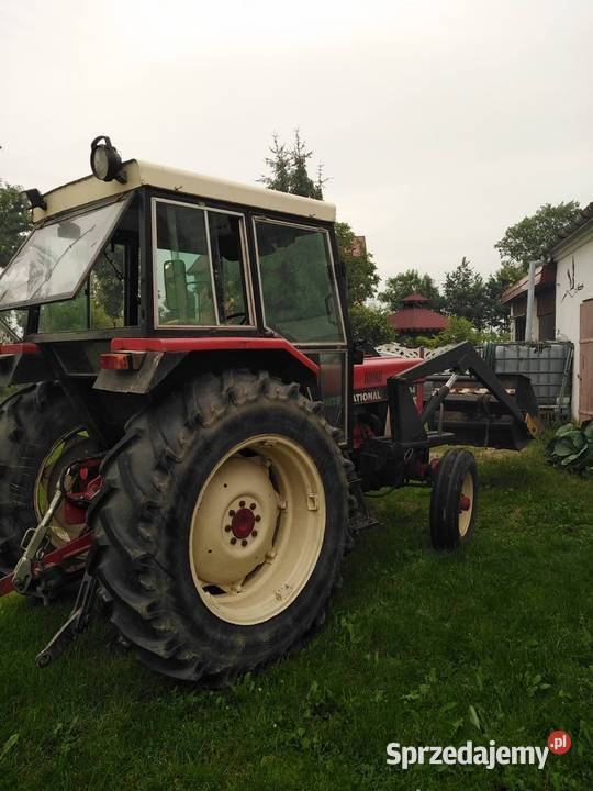 International Case 784 z Turem Kąkolewnica