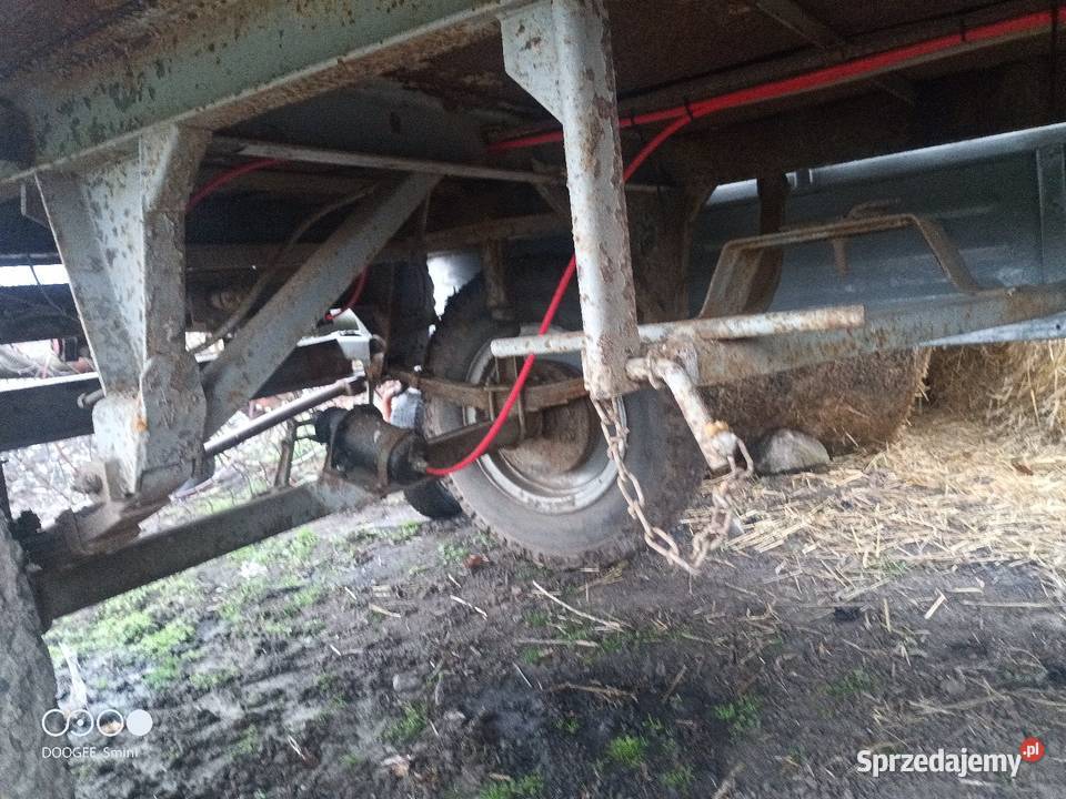 Autosan D46 Strzyżów