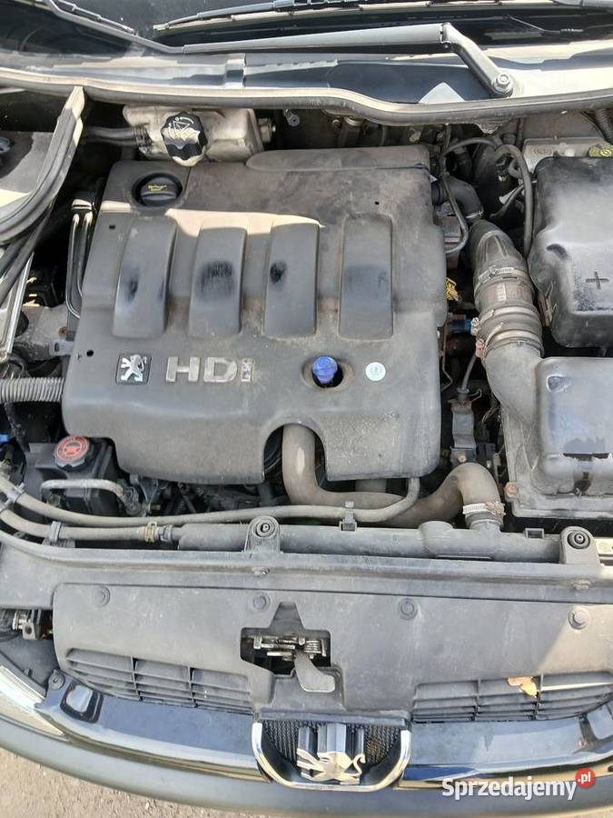 Peugeot 206 20 HDI Rok produkcji 2000 206 wielkopolskie Zębowo