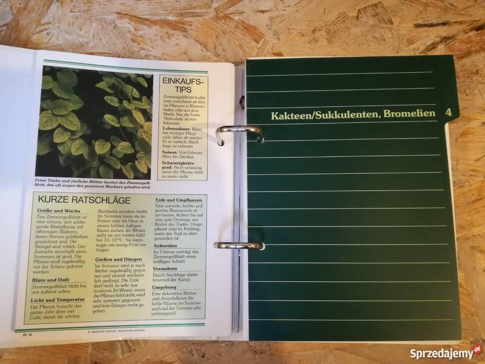 Dwa segregatory w języku niemieckim tematyka Skokowa