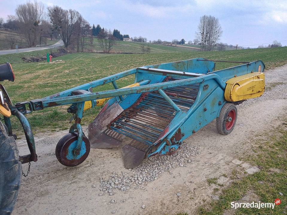 Kopaczka elewatorowa do ziemniaków nieuszkodzony Izbica