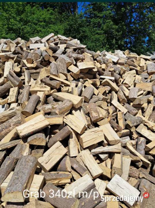 drewno kominkowe opałowe Pasym