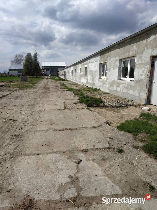 Na sprzedaż zorganizowana część przedsiębiorstwa Boguszyce