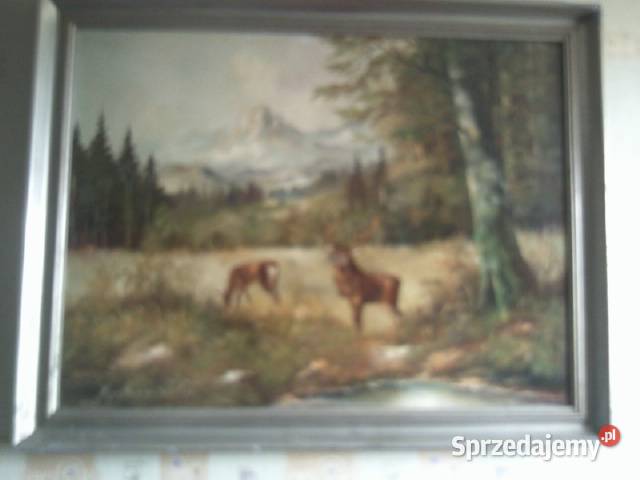 Obraz Olejny Jelenie w lesie Sygnowany Austria lubelskie Lublin