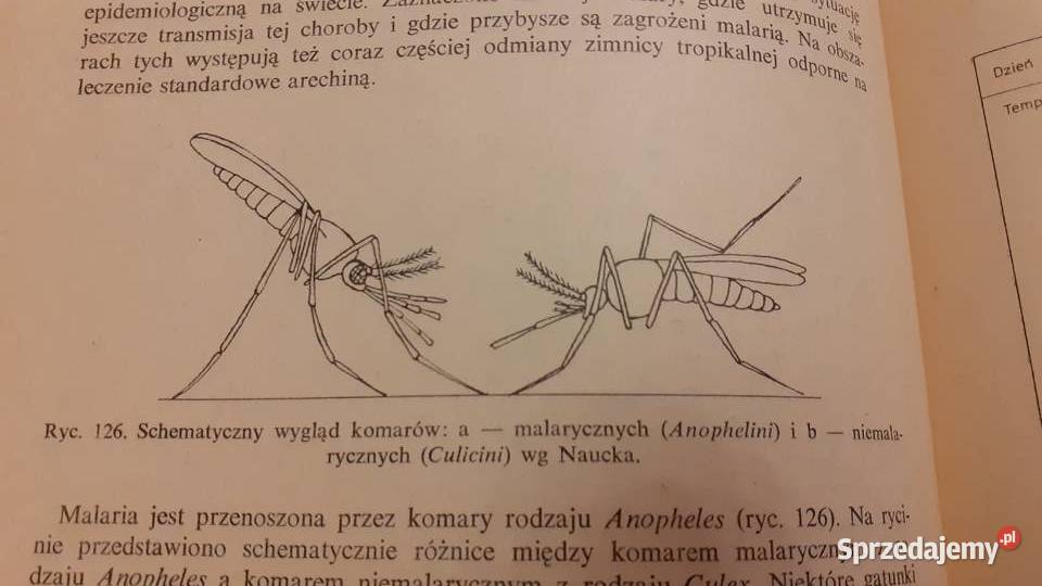 Morski poradnik medyczny twarda Szczecin