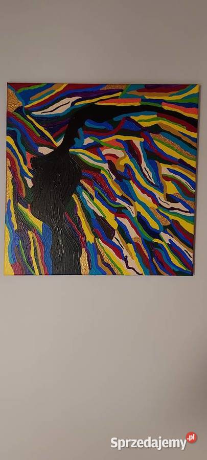 Obraz Dwie Twarze 50x50 Rybnik