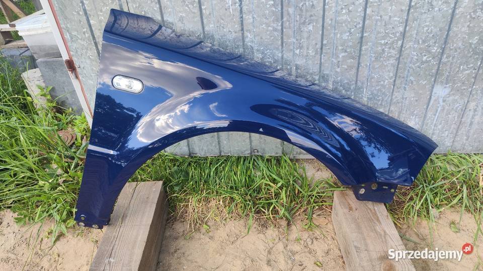 Posiadam błotnik VW b5fl i drzwi przód kod LA5E mazowieckie Zwoleń