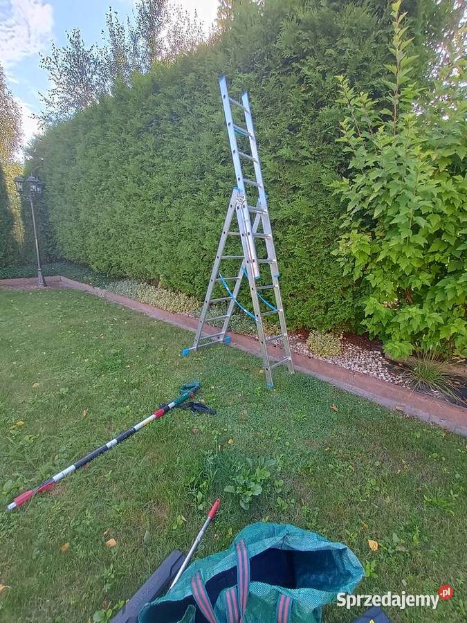 Pielęgnacja ogrodów przycinanie żywopłotu
