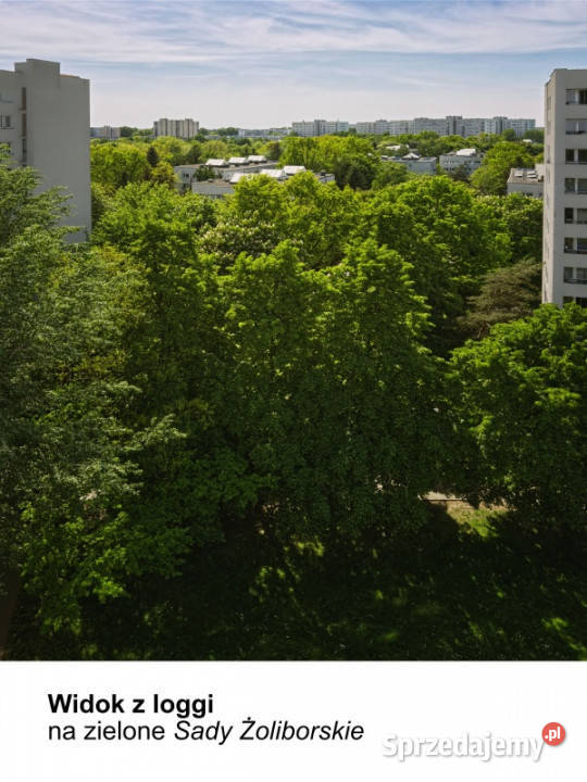 2 pokoje z loggią i klimatyzacją 36 m Żoliborz internet Warszawa