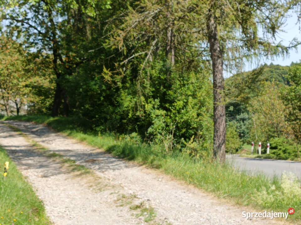 Działka budowlana Janowice powiat tarnowski gm prąd sprzedam