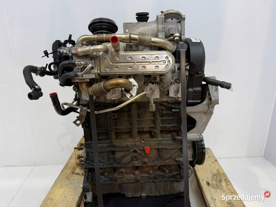 SILNIK BXE VW Golf V Jetta Passat B6 Seat Altea osobowe Chełm