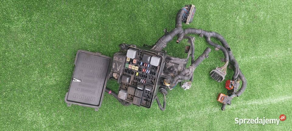 SKRZYNKA BEZPIECZNIKÓW TRANSIT MK8 CUSTOM Skrzynki bezpieczników wielkopolskie Międzychód