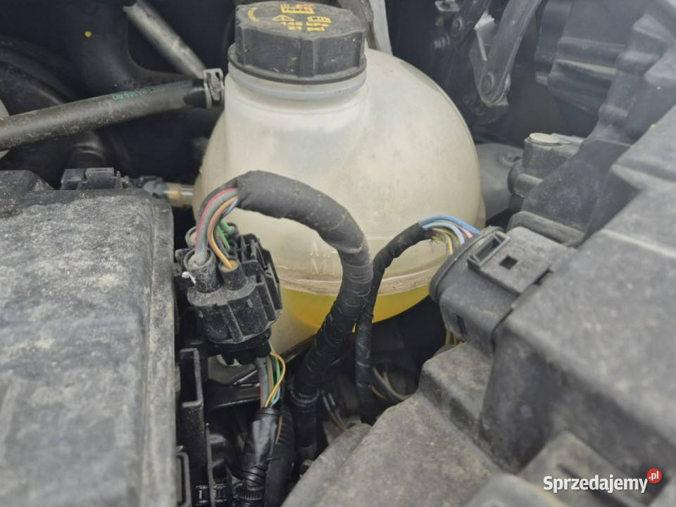 Ford Transit Custom Poleasingowe Komorniki