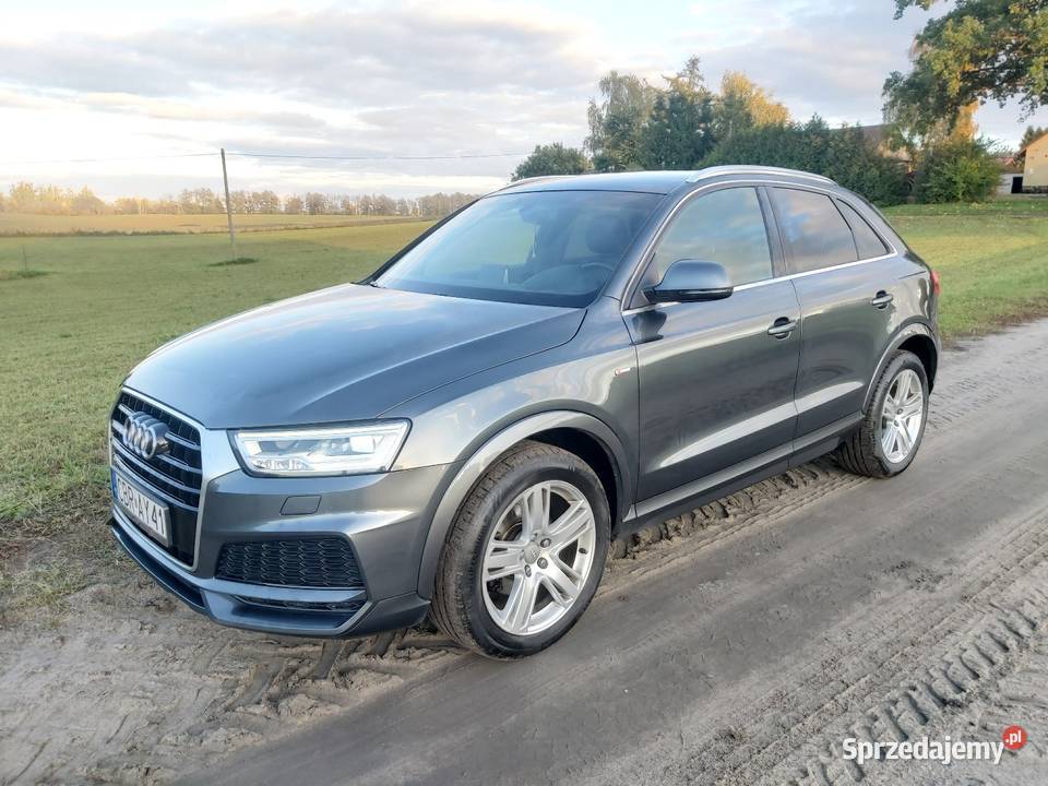 Audi Brodnica