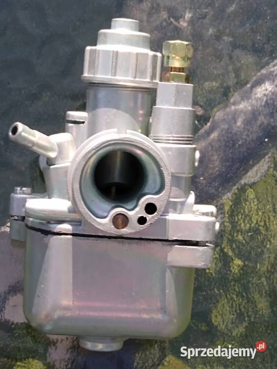 simson niemiecki gżnik