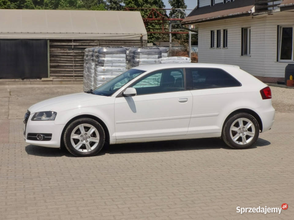 Audi A3 3drzwiowe Lift Alu LED 8P 20032012 diesel Nowy Sącz