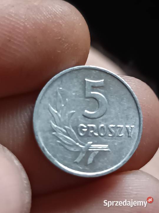 Sprzedam 5 gr 1962 r Chełm