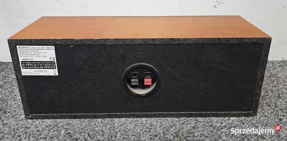 głośnik centralny Sony SSCN250 100W wysyłka